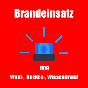 Titelbild in rot gehalten mit dem Text "Brandeinsatz"