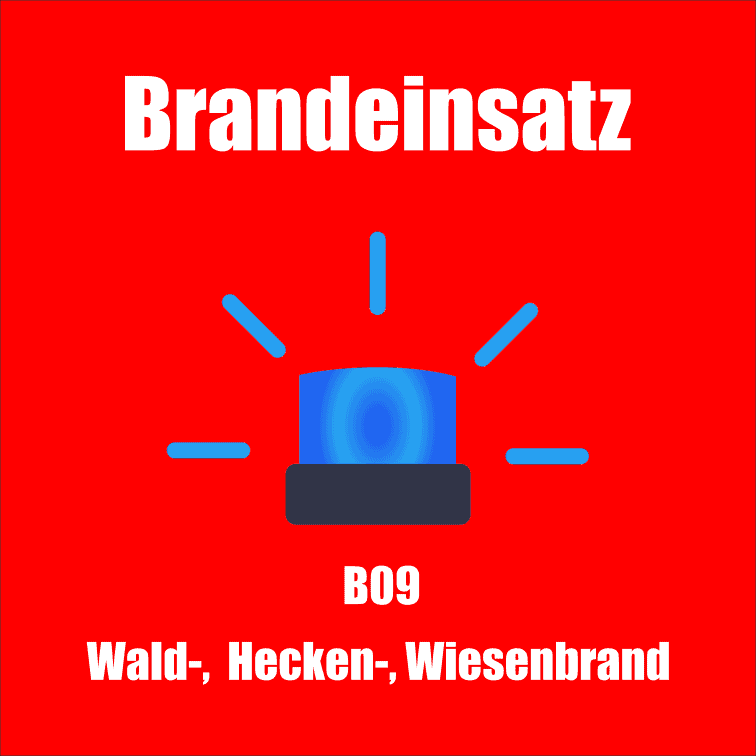 Titelbild in rot gehalten mit dem Text "Brandeinsatz"