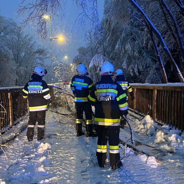 Bild zeigt Feuerwehrleute bei der Arbeit