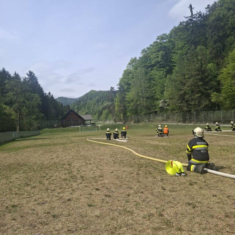 Bild zeigt Feuerwehrleute bei der Arbeit