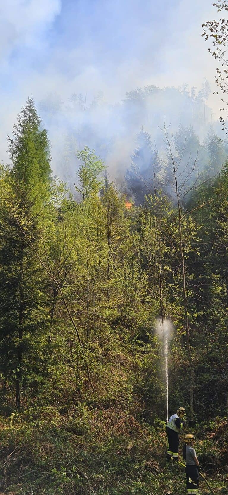 Bild zeigt Feuerwehrleute bei der Arbeit
