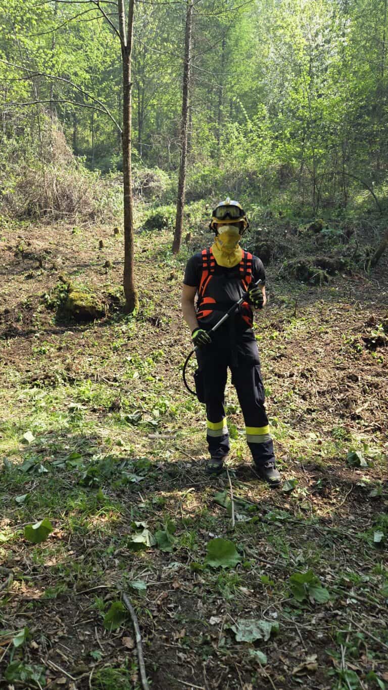 Bild zeigt Feuerwehrleute bei der Arbeit