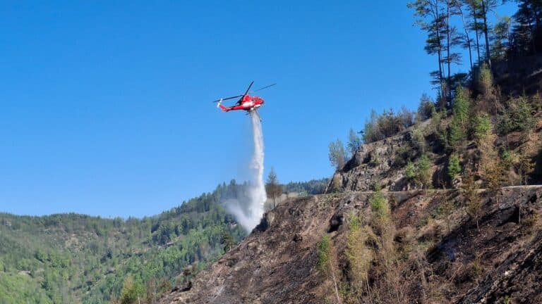 Bild zeigt Feuerwehrleute bei der Arbeit