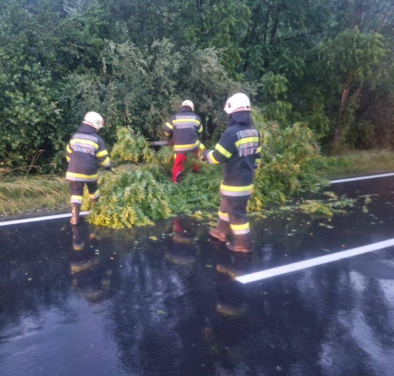 KameradInnen beim Einsatz