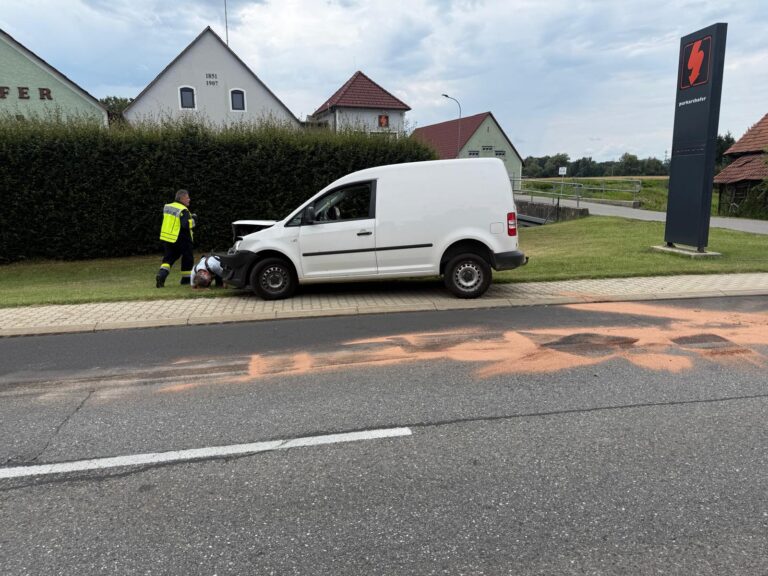 Feuerwehrleute beim Arbeiten